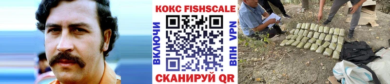 купить  цена  Дубовка  Cocaine Эквадор 