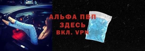 дмт Абаза