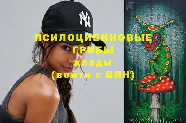 дмт Абаза